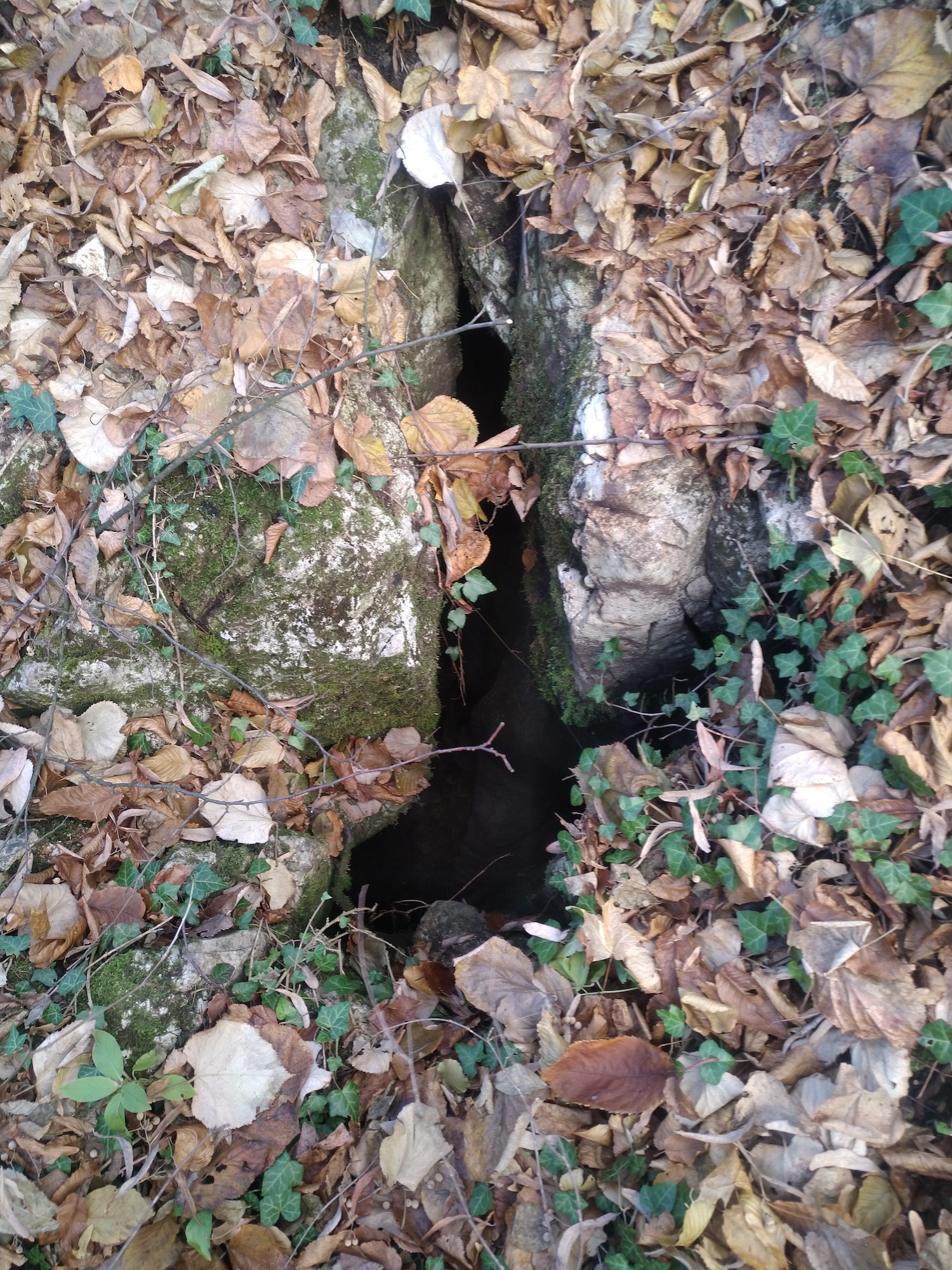 Avenul lui Didi - Image 5